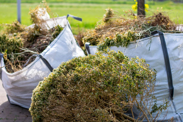 Best Construction Debris Removal  in Coal Valley, IL